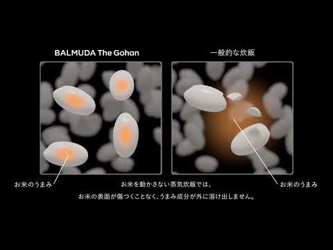炊飯器 BALMUDA The Gohan ホワイト K08A-WH [3合] BALMUDA