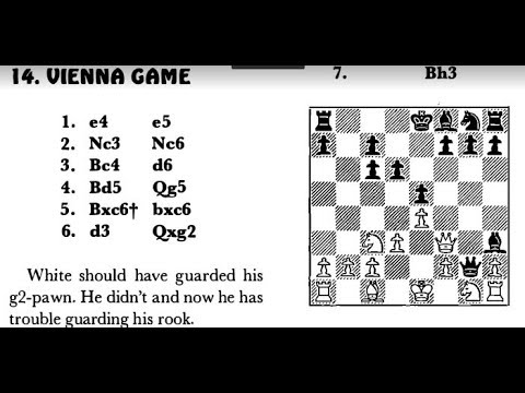 Trikovi ,zamke i greske u šahovskim otvaranjima - BEČKA PARTIJA  # 1231