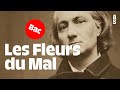 Les Fleurs du Mal, Charles Baudelaire | Bac français 2024