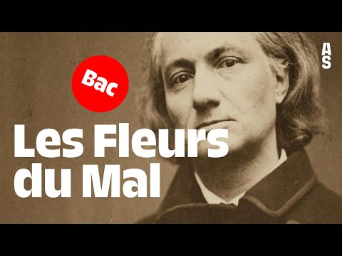 Les Fleurs du Mal, Charles Baudelaire | Bac français 2023