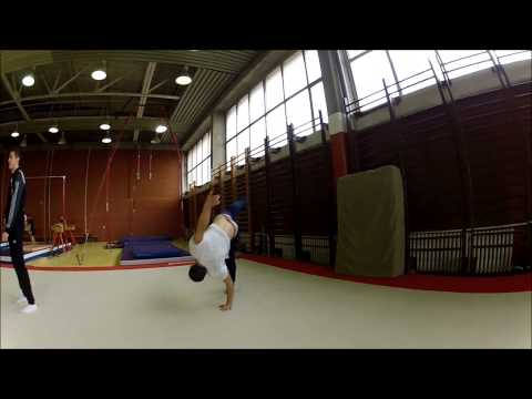 fakii NSA BULGARIA 2014