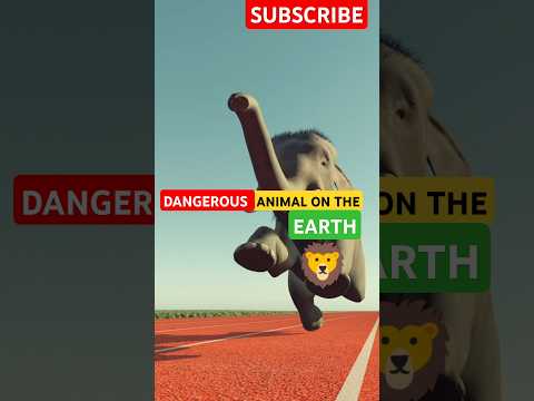 MEET THE WORLD'S STRONGEST ANIMAL. 🐋 #animals #facts #top5