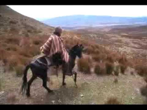 el taita del guagua - fresia saavegra y gonzalo moncayo