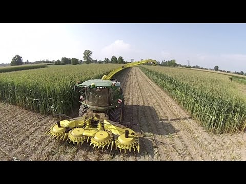 Quante volte al giorno a prendere il martello di Thor I preparativi per gli uomini e le donne Excite