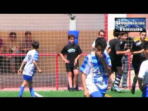 INFANTIL D CIUDAD - BENIDORM B