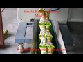 KURKURE PACKING MACHINE | BUSINESS STARTUP | POUCH PACKING MACHINE | SHREE NARAYAN MACHINES