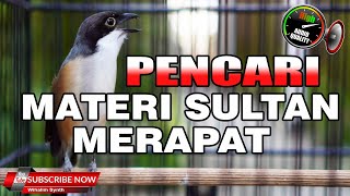 Download lagu CENDET GACOR FULL ISIAN MEWAH TEMBAKAN TAJAM COCOK UNTUK MASTERAN, TENGKEK BUTO GEREJA KUNTILANAK mp3 Download lagu CENDET GACOR FULL ISIAN MEWAH TEMBAKAN TAJAM COCOK UNTUK MASTERAN, TENGKEK BUTO GEREJA KUNTILANAK mp3