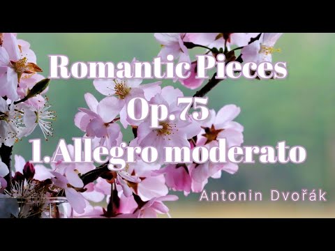 Romantische Stücke op.75 1.Satz (A. Dvorak) - K.PiViVo
