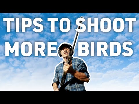 How to SHOOT More BIRDS with a SHOTGUN