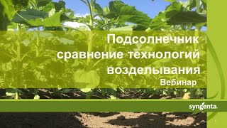 Ссылка