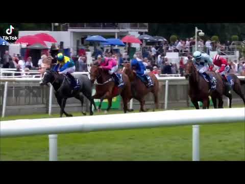 2021 JULY CUP - STARMAN