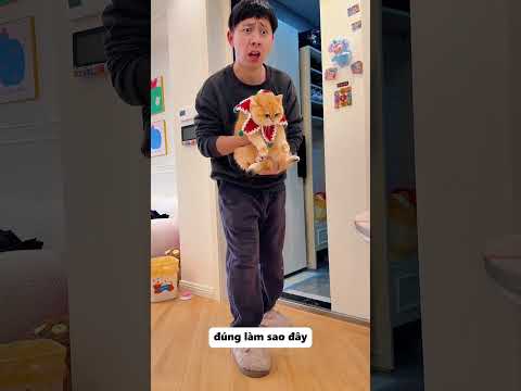 Cô bé tốt bụng nhận nuôi em cá vàng