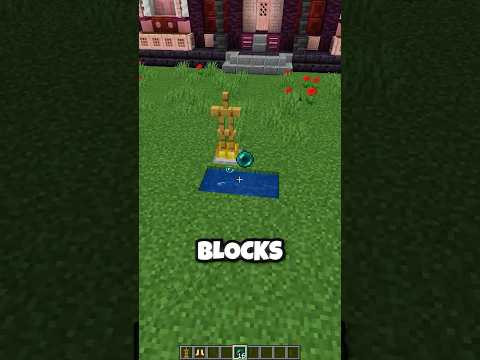 The NEW Ender Pearl Stasis Chamber...