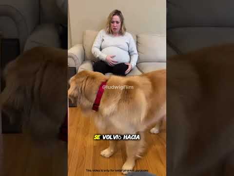 Su perro lo atacaba… pero luego salvó la vida de su bebé 😱👶#shorts