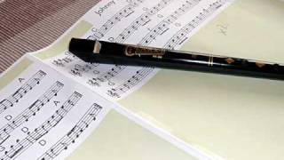 Scarborough Fair played on Penny Whistle (Tin Whistle)
