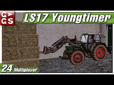 LS17 YOUNGTIMER 🚜 Das YouTube Problem EXAKT erklärt #24 Hermanns Eck Talk
