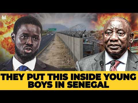 14 FRENCH GRAPISTS ARRESTED IN SENEGAL