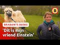 Tamar heeft een kameel als huisdier ? | Brabants Buske