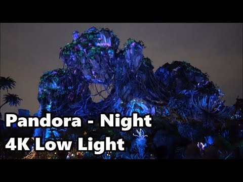 Pandora Nighttime Tour - 4K Ultra Low Light | Disney's Animal Kingdom