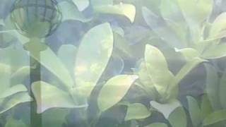 In My Heart by: Himig Heswita