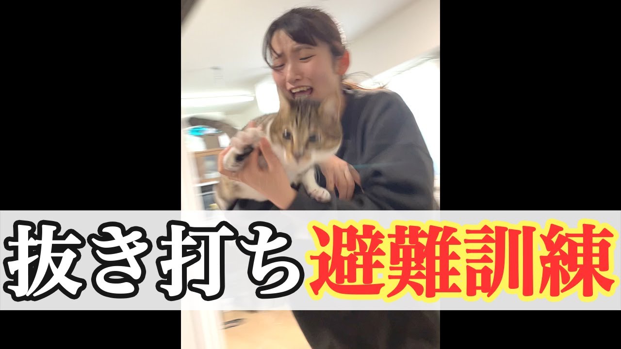 ド天然妻に地震ドッキリしたら慌てすぎて猫吹っ飛んだwww