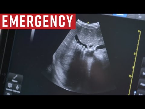Emergency AU - S05E09