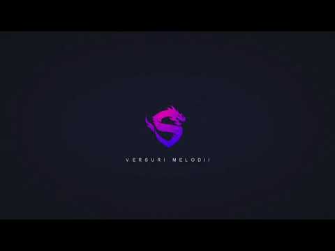 Bogdan de la Ploiești ❌Zanni-Obsesia (Versuri)