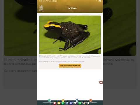 Sinchi-APP