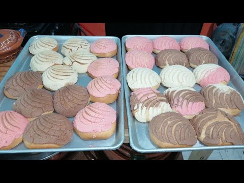 Así hago 28 conchas con tan solo un kilo de harina panadería paso a paso desde casa para negocio