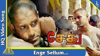 Enge Sellum Intha Pathai Video Song  Sethu Tamil M