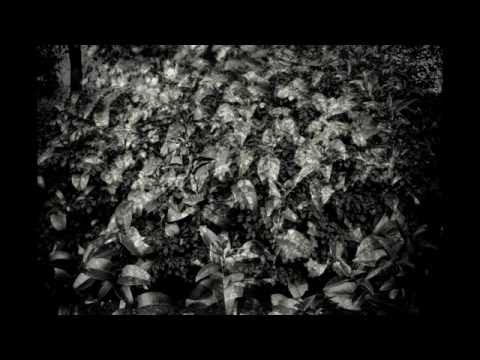 J.S.Bach - Arie No.47- Erbarme Dich