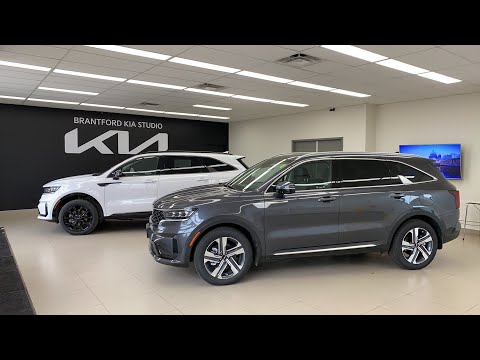 LIVE: 2022 Kia Sorento EX+ Vs Kia Sorento EX+ PHEV - More differences than you would assume!