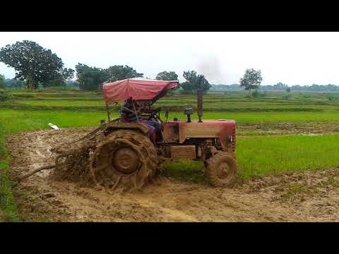 🔴M&M 265 di mud plough || old method 9tyne cultivator ||🚜