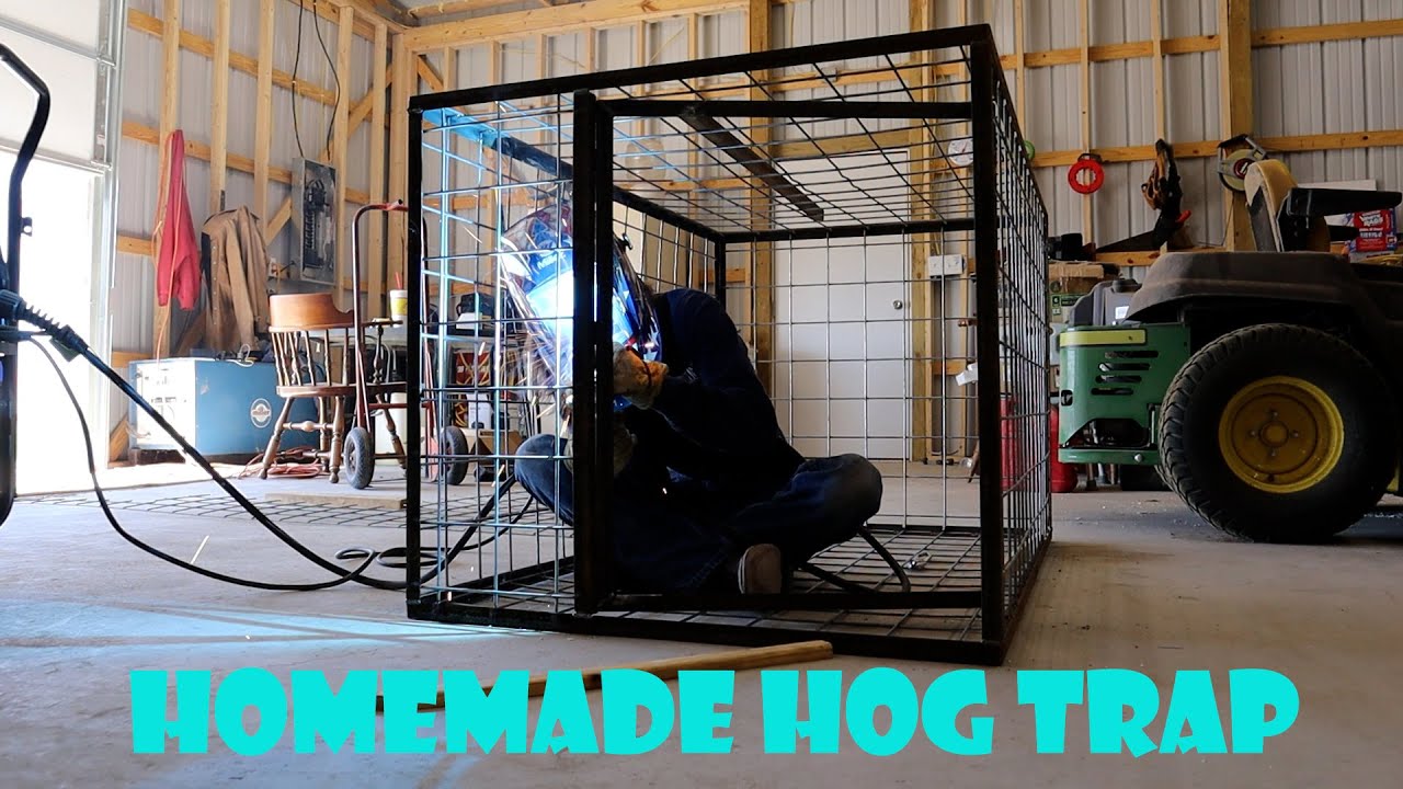 Building a Portable Feral Hog Trap