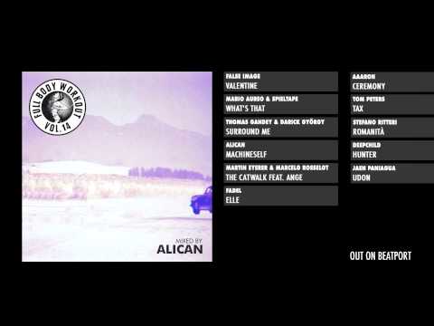 Full Body Workout Vol. 14 - Minimix