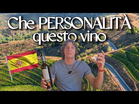 VINO SPAGNOLO CLAMOROSO: PRIORAT VALL LLACH 2002 !! 🍷🇪🇸👀