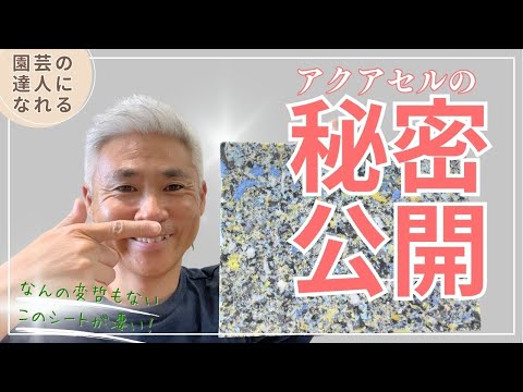 園芸 アクアテール、プールを接地