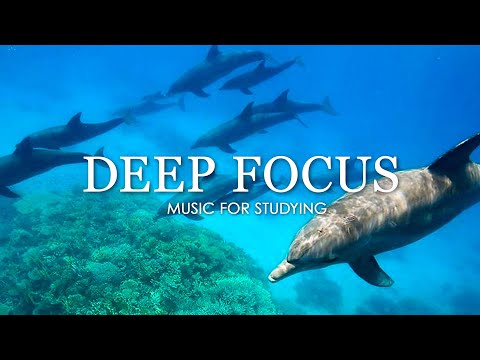Deep Focus Music To Improve Concentration - 12 Hours of Ambient Study Music to Concentrate #719