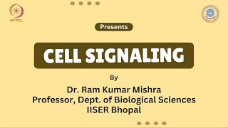 W7L31_Integrin Signaling for cell motility, movement, and growth
