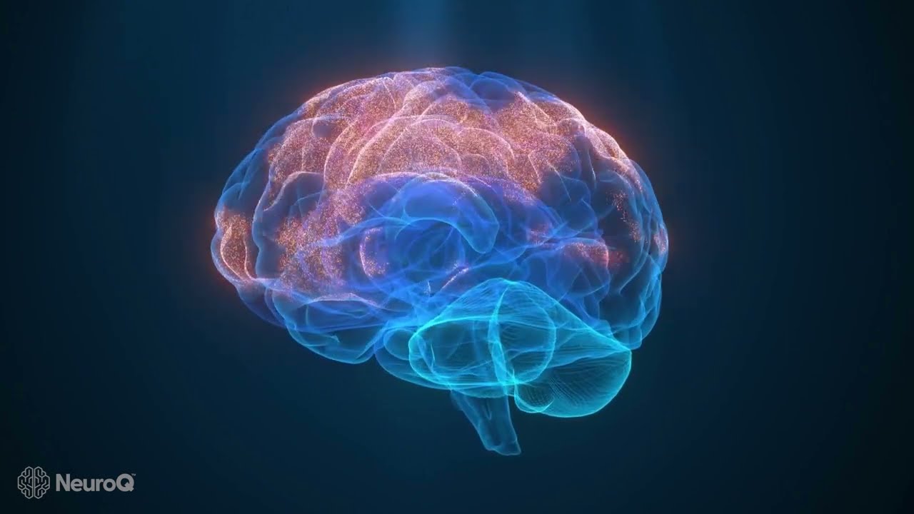 Do People with Aphantasia Dream? |‌‌ NeuroQ