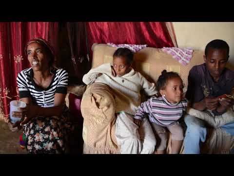 A gift for life: a sheep for a family in Eritrea