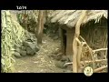 Ethiopia Orthodox Mezmur Ringtone