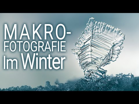 Makrofotografie im Winter