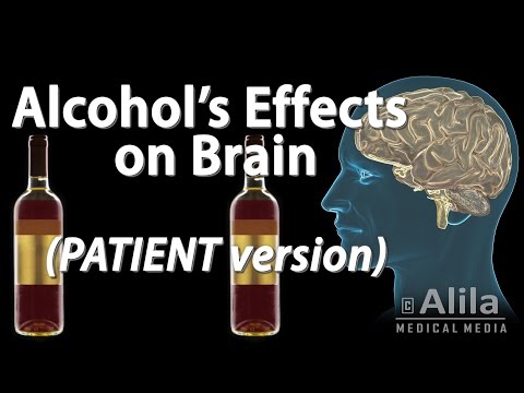 Overview of the Nervous System Animation