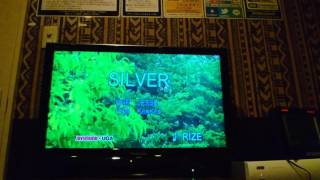 歌ってみた‼RIZE SILVER