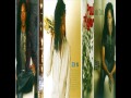 Paul Taylor ft Terry Dexter  -  Long Distance Relationship