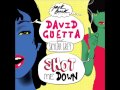 David Guetta ft. Skylar Grey - SHOT ME DOWN ...