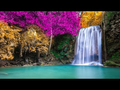 Liquid Drum and Bass Mix 332 - Seismic Noise