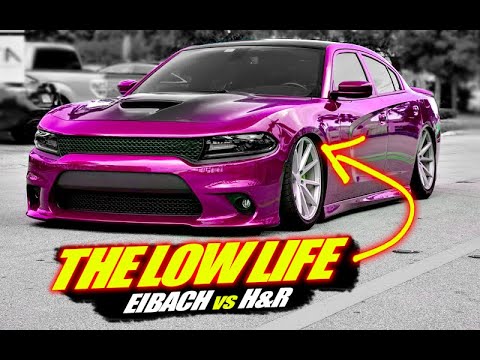 Eibach vs H&R Lowering Springs...