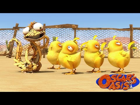 Oscar Becomes a Baby Chick + More Oscars's Oasis Cartoons For Kids